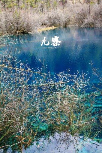 祸乱君心